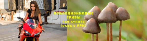 молекула духа Белоозёрский