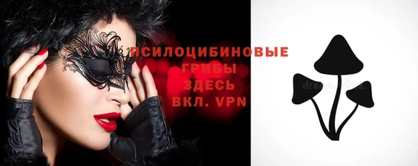 молекула духа Белоозёрский