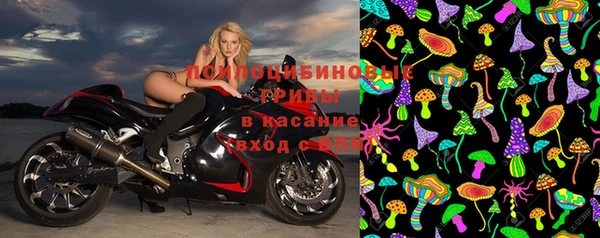 молекула духа Белоозёрский