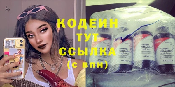 молекула духа Белоозёрский