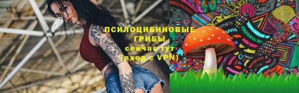 СК Беломорск