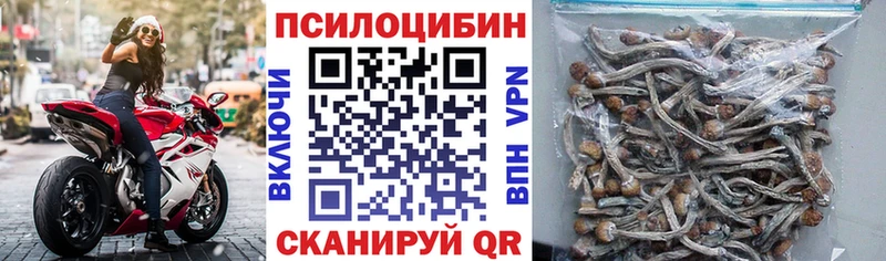 наркошоп  omg зеркало  сайты даркнета телеграм  Облучье  Псилоцибиновые грибы Magic Shrooms 